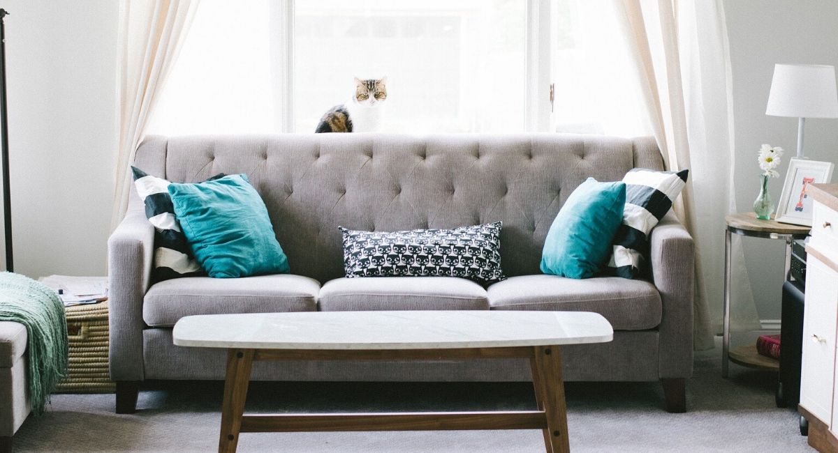 Cómo limpiar un sofá de forma natural y fácil