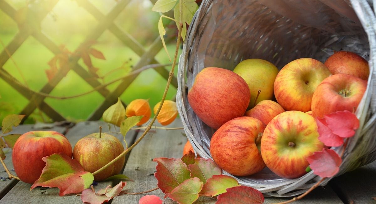 ¿Pueden dos manzanas al día ayudar a mantenerte alejado del médico?