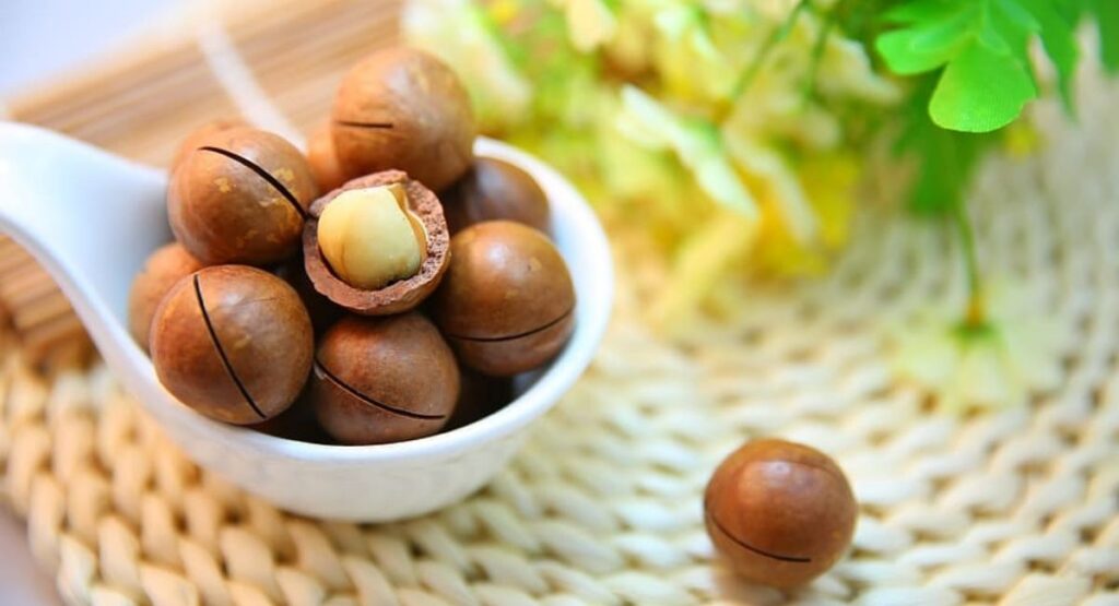 5 Propiedades de las nueces de macadamia