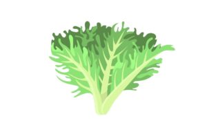 7 Propiedades del kale para la salud