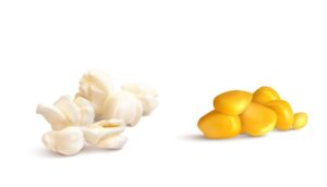 4 Propiedades del maíz para la salud
