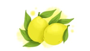 Cómo plantar un limón en un vaso: Haga que su hogar huela fresco y mejore su estado de ánimo