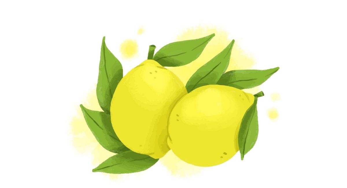 Cómo plantar un limón en un vaso: Haga que su hogar huela fresco y mejore su estado de ánimo