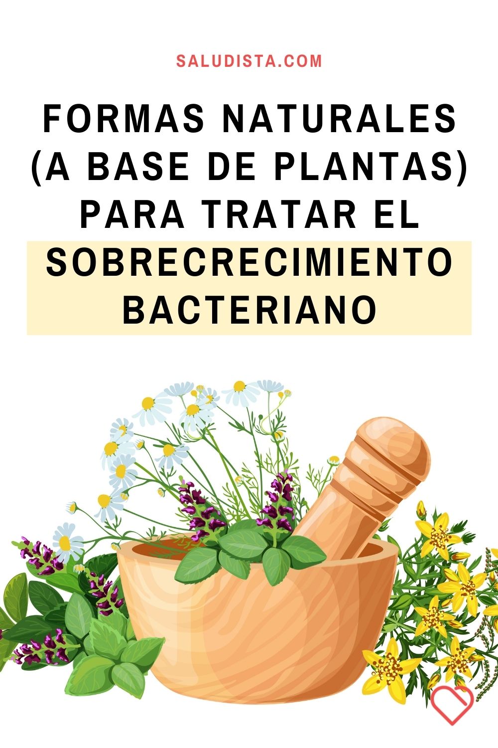 Formas naturales (a base de plantas) para tratar el sobrecrecimiento bacteriano