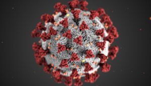 Al igual que la gripe, la COVID-19 podría ser estacional