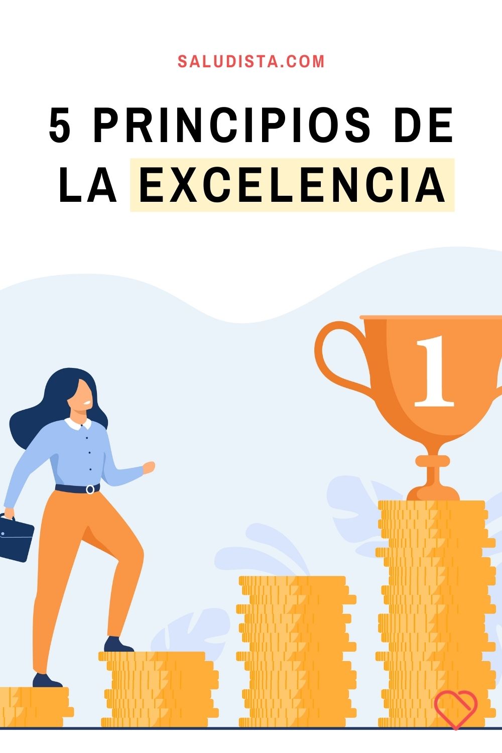5 principios de la excelencia