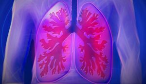 13 Formas de mantener los pulmones sanos