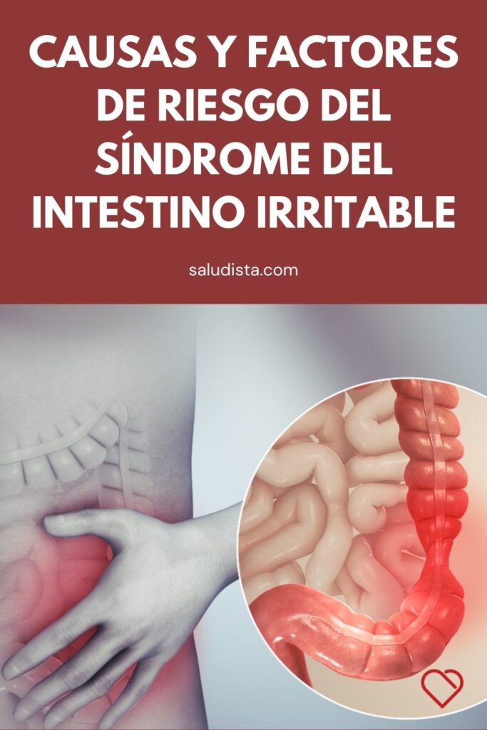 Causas Y Riesgos Del Síndrome Del Intestino Irritable 0314