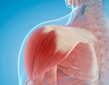 7 Señales de que necesitas tomar más proteínas