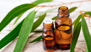 11 Sorprendentes usos del aceite de eucalipto