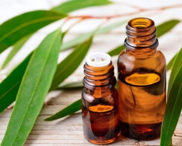 11 Sorprendentes usos del aceite de eucalipto