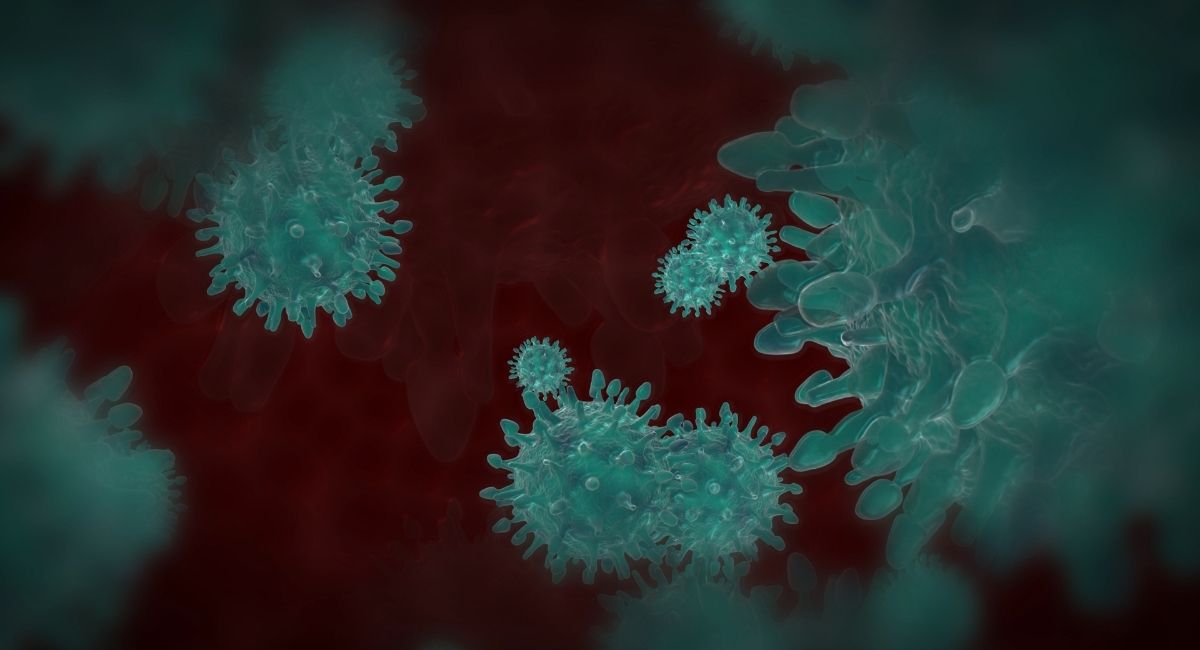 ¿Podría el polen estar provocando infecciones por COVID-19?