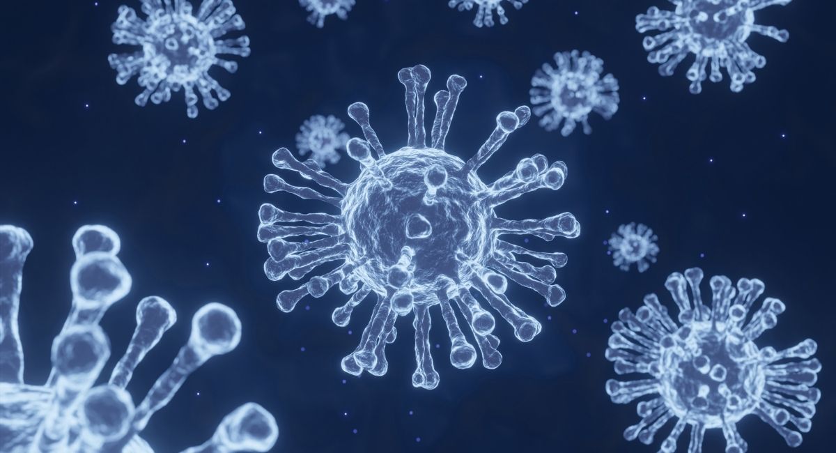 Nuevas pistas muestran cómo el sistema inmunitario combate el COVID-19