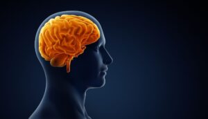 Existen 5 tipos de cerebros diferentes: Esto es lo que dice tu tipo sobre ti