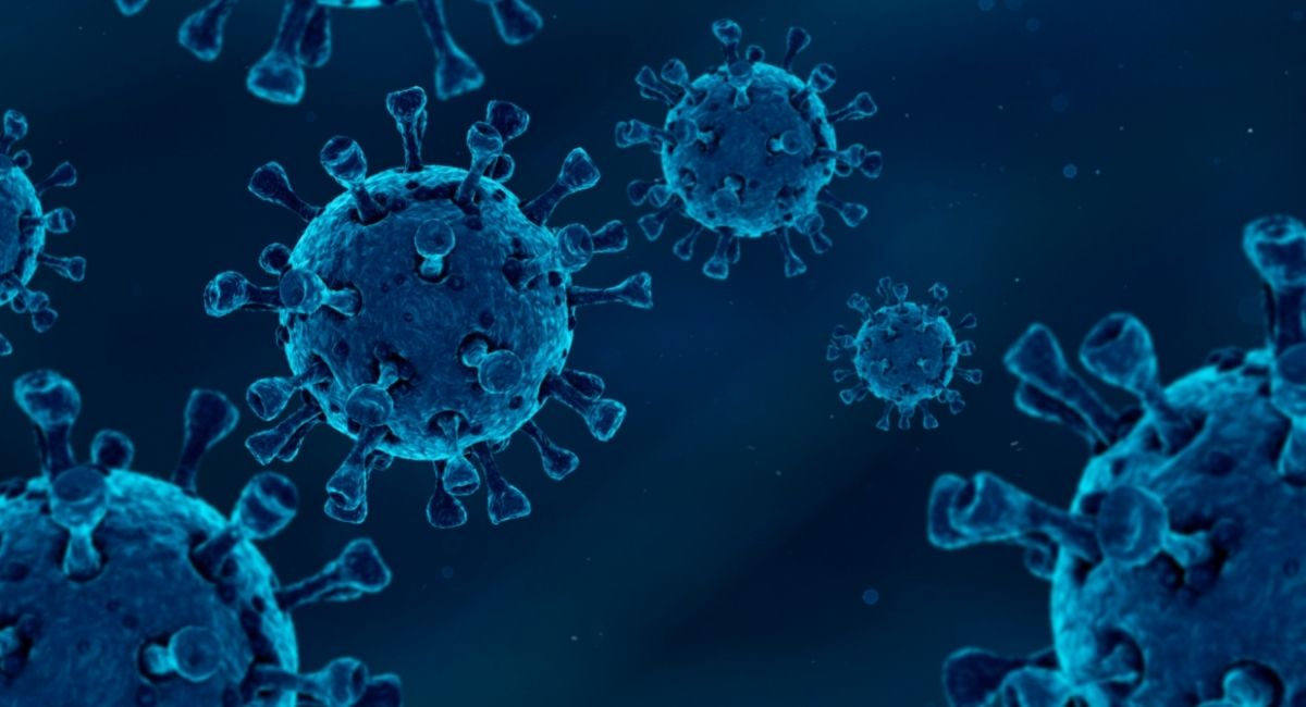 Coronavirus canino: ¿Es una amenaza para los humanos?