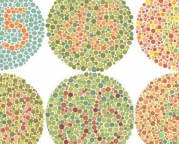 Guía del daltonismo