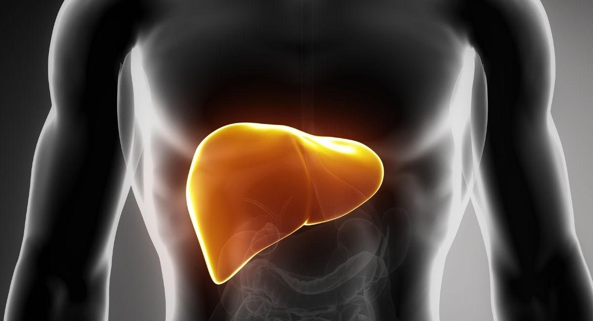 Guía de la enfermedad del hígado graso