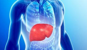 15 Consejos para mantener el hígado sano