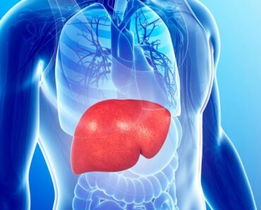 15 Consejos para mantener el hígado sano