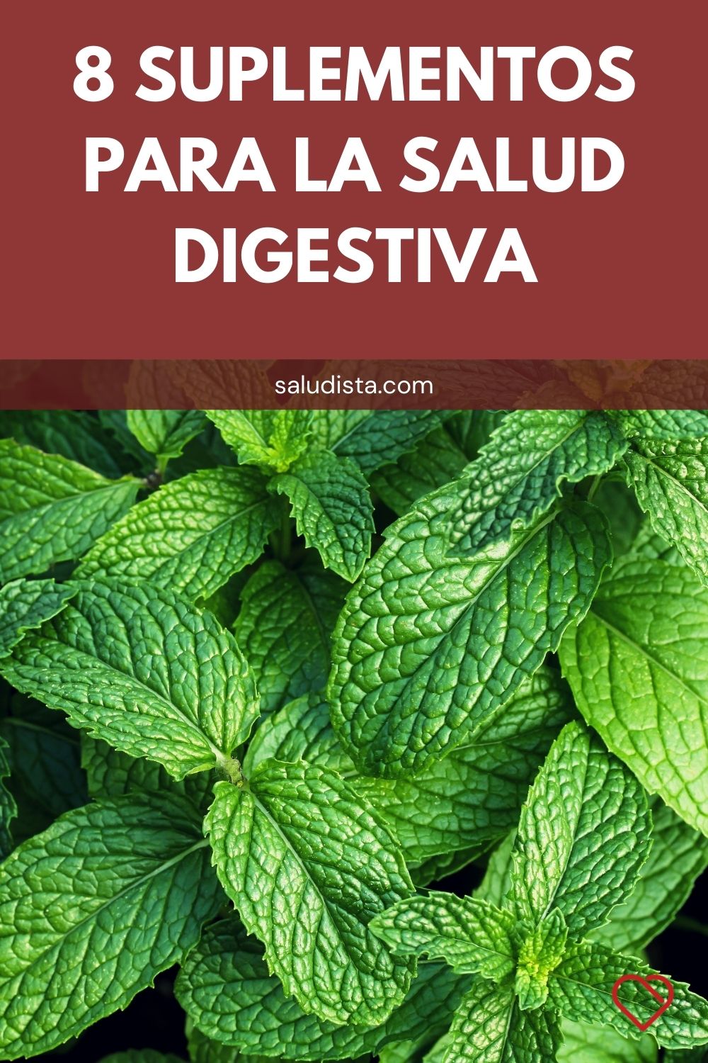 8 Suplementos para la salud digestiva