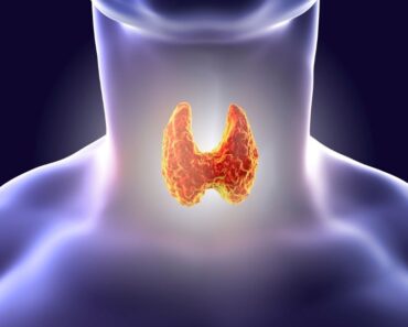 7 cambios de vida que pueden ayudar con los problemas de tiroides