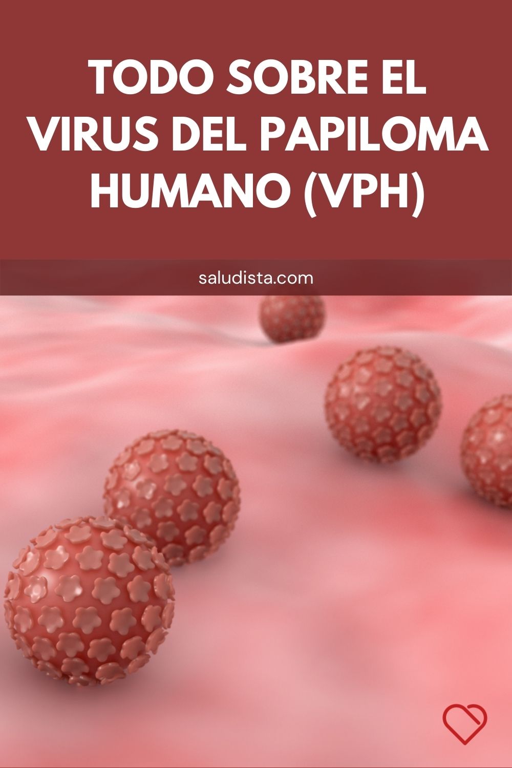 Todo sobre el virus del papiloma humano